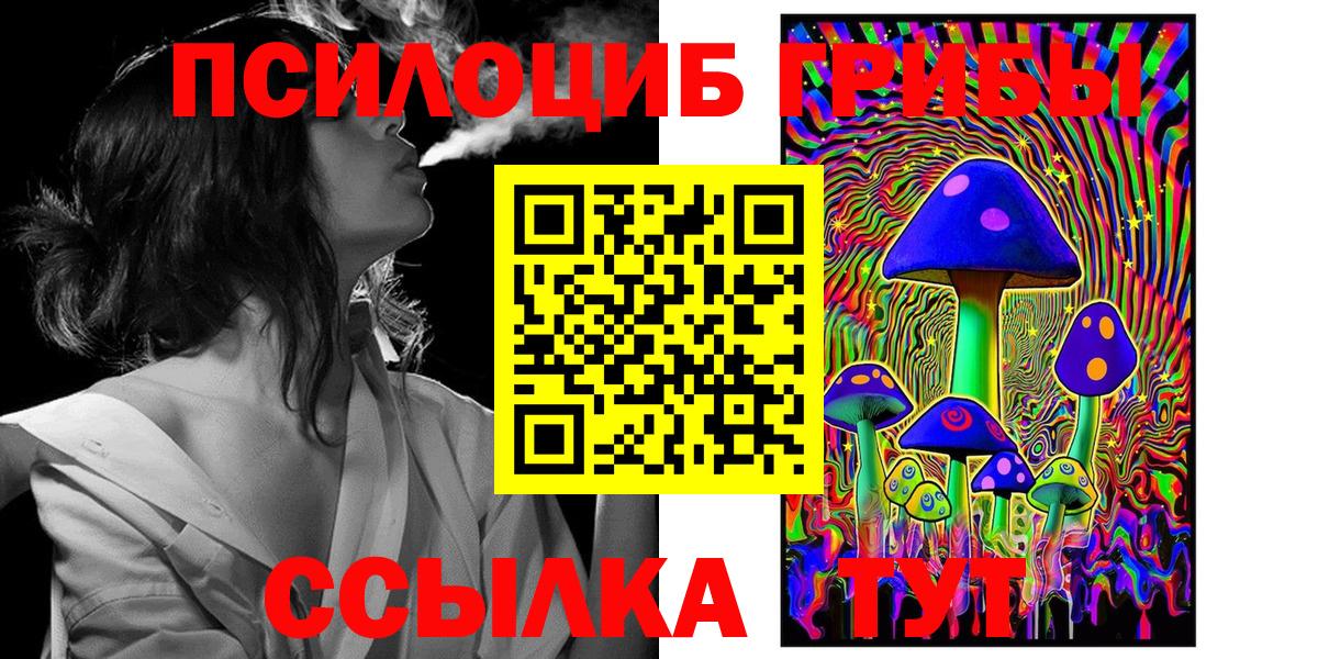 Галлюциногенные грибы Magic Shrooms  Вход с VPN  Котлас  купить наркотик  Галлюциногенные грибы Magic Shrooms 