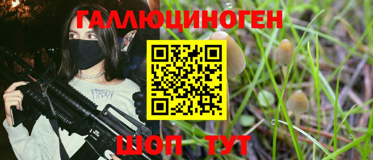 Бошки Шишки Котлас